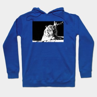 Year of the tiger 2022 - 2 Hoodie